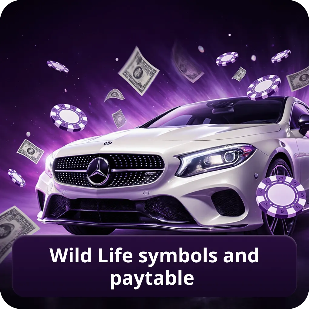Wild Life symbols and paytable explained Wild Life symbols and paytable