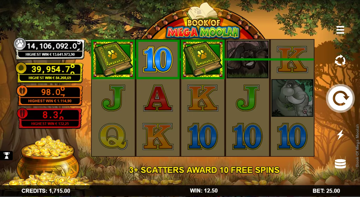 Mega Moolah slot Canada how gameplay works step by step How Mega Moolah gameplay works